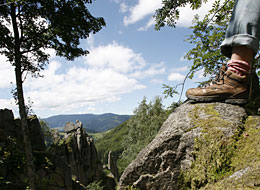 Wanderer am Orgelfelsen