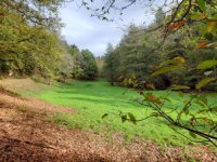 Kurpark Gernsbach Kurpark Gernsbach