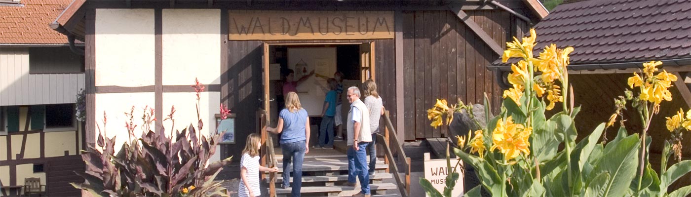 Waldmuseum Reichental Besucher auf der Treppe zum Waldmuseum