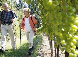 Wanderer beim Weinberg von Schloss Eberstein