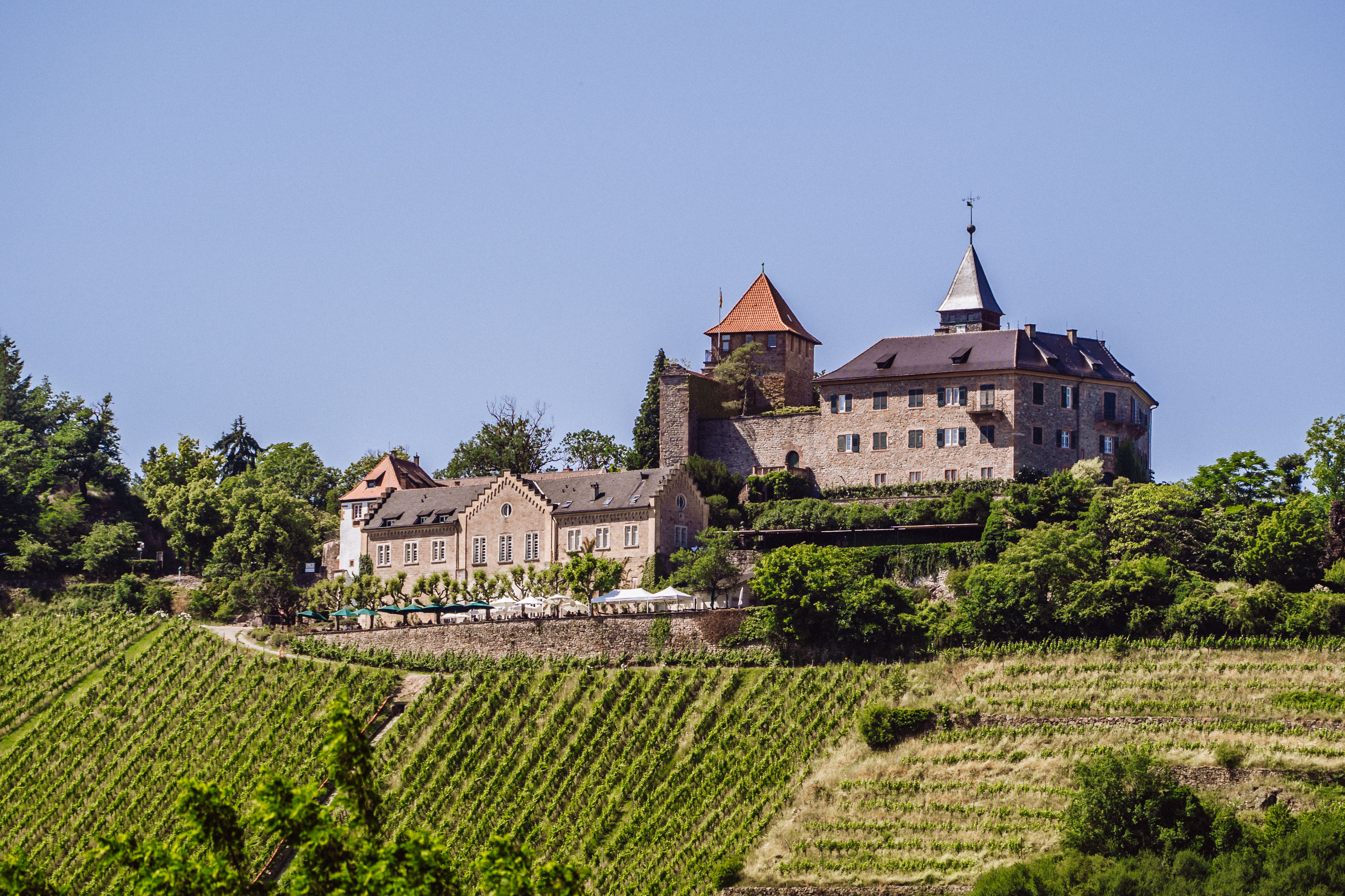 Wanderer beim Weinberg von Schloss Eberstein