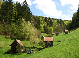Heuhüttental bei Reichental