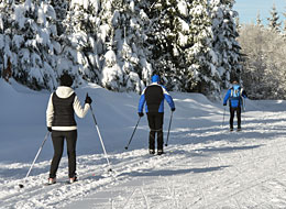 Weiter zum Langlauf am Kaltenbronn Langläufer in der Loipe am Kaltenbronn