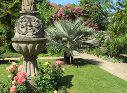 weiter zu den Führungen Natur ganz nah blühende Rosen, Skulptur und Palmen im Katz'schen Garten