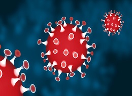 weiter Infos zu Corona Symbolbild Coronavirus