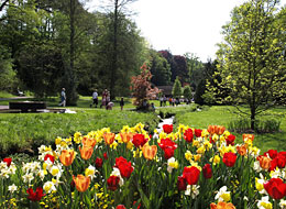 Blick auf Konzertmuschel im Kurpark