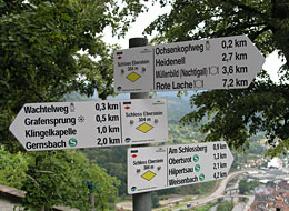 weiter zum Wegenetz Schilderbaum Wanderweg mit drei Wanderschildern