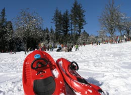 weiter zu Rodeln und Winterwandern Zwei Lenkbobs auf dem verschneiten Rodelhang