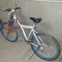 Mountainbike in weiß. rot, blau