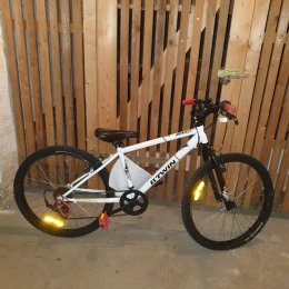 Mountainbike in weiß, schwarz