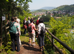 weiter zu Erlebniswanderungen Wanderer beim Aussichtspunkt Engelskanzel mit Blick auf Gernsbach