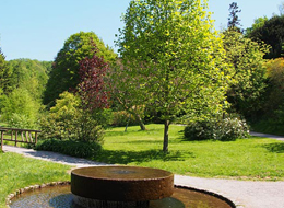 Blick in den Kurpark großer flacher Stein als Brunnen, im Hintergrund Brücke und große Laubbäume