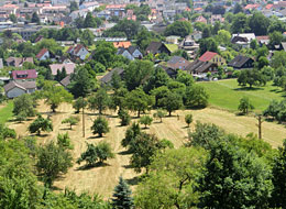 Blick auf Weinau