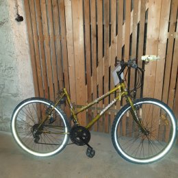 Rennrad in gelb