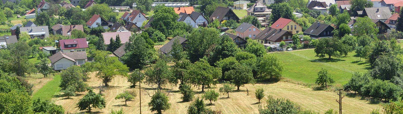 Streuobstwiesen auf der Weinau